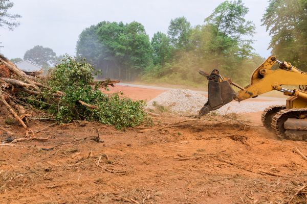 Ground Clearing in Flint