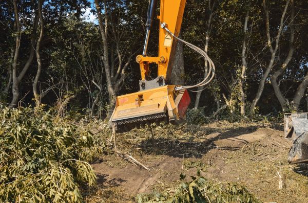 Brush Removal Service in Flint