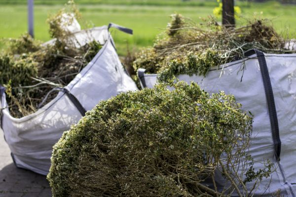 Cost of Bushes Clearing in Flint