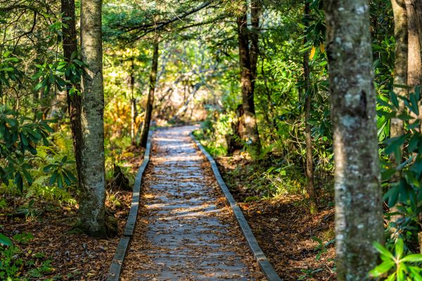 Cost of Trail Clearing in Flint